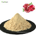 Pomegranate Juice Powder Organic Pomegranate Powder